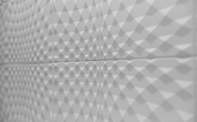 _d8n2525.jpg
